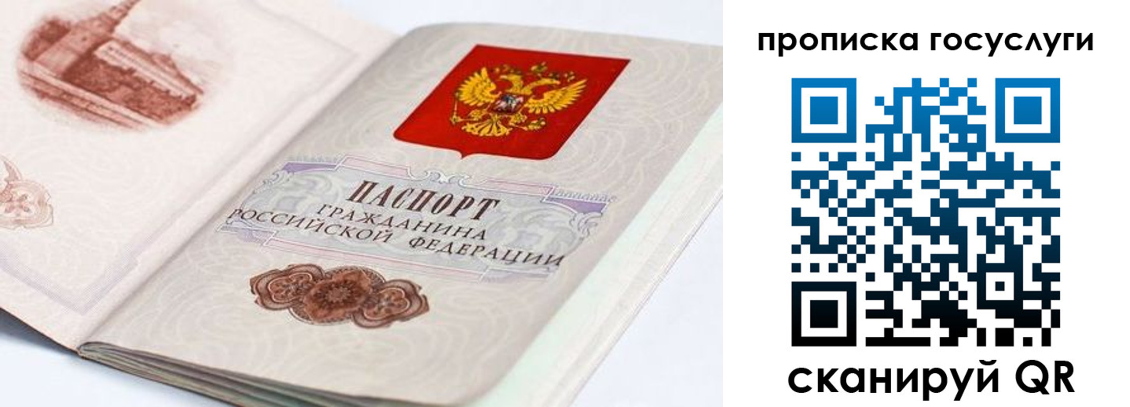 прописка регистрация в Новотроицке